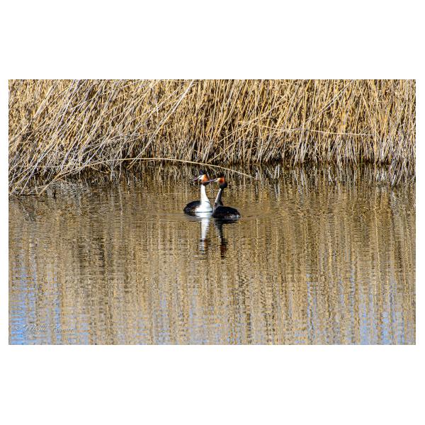 PHOTO84, CLUB, 84 , LUBERON